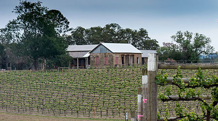 Dalwood House from vineyard 2017